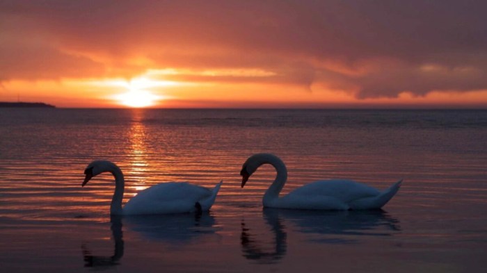 Muslim islam nikah mahr zawaj