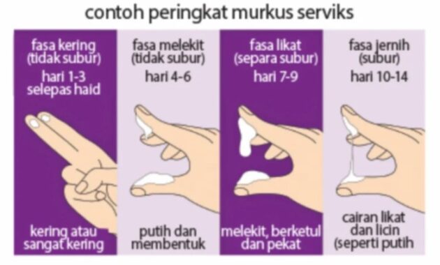 Berapa hari tidak boleh ketemu saat mau menikah?
