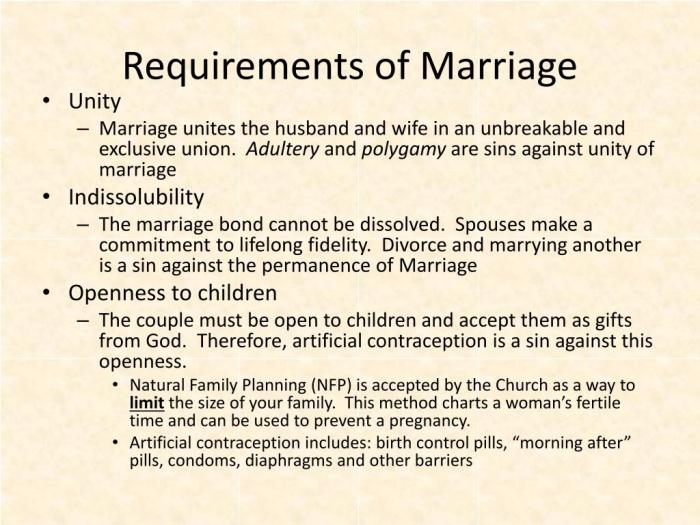 Sacraments service marriage ppt powerpoint presentation